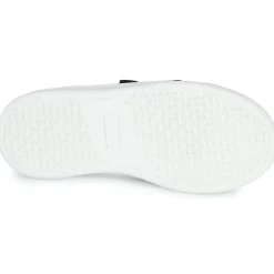 New Citrouille et Compagnie - NADIR Marine