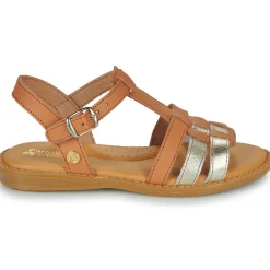 Citrouille et Compagnie - ROLUI