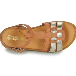 Citrouille et Compagnie - ROLUI