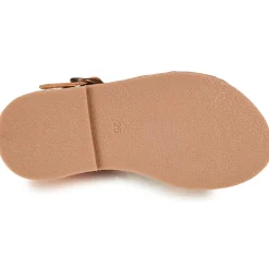 Sale Citrouille et Compagnie - MINIMOME Bronze