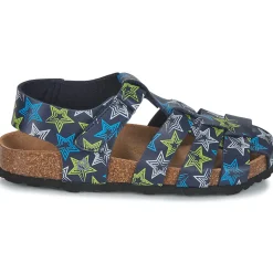 Citrouille et Compagnie - BAMBOCHE