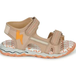 Best Citrouille et Compagnie - WAYO Beige