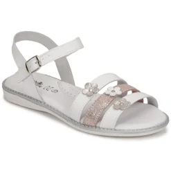 Hot Citrouille et Compagnie - KATAGUE