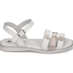 Hot Citrouille et Compagnie - KATAGUE