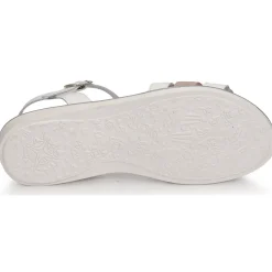 Hot Citrouille et Compagnie - KATAGUE