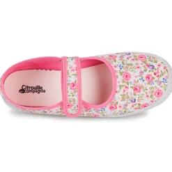 Citrouille et Compagnie - IVALYA