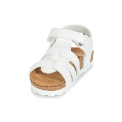 Citrouille et Compagnie - JANISOL