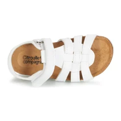 Citrouille et Compagnie - JANISOL