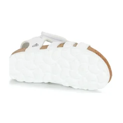 Citrouille et Compagnie - JANISOL