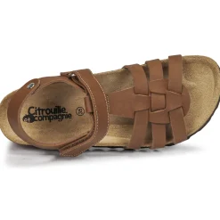 Citrouille et Compagnie - JANISOL