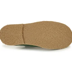 Citrouille et Compagnie - HOVETTE