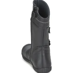 Citrouille et Compagnie - AMATIS