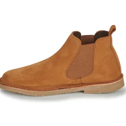 Citrouille et Compagnie - HOUVETTE Camel Best