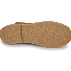 Citrouille et Compagnie - HOUVETTE Camel Best