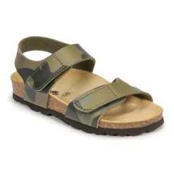 Citrouille et Compagnie - BELLI JOE