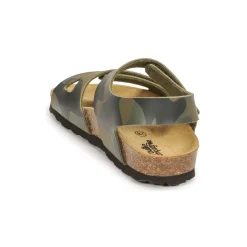 Citrouille et Compagnie - BELLI JOE