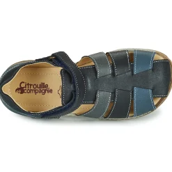 Best Citrouille et Compagnie - FRINOUI