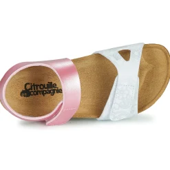 Citrouille et Compagnie - BELLI JOE