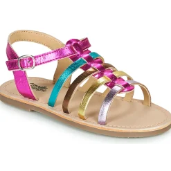 Citrouille et Compagnie - MAYANA