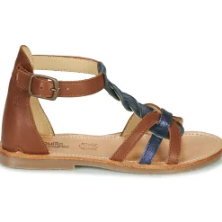 Citrouille et Compagnie - GITANOLO