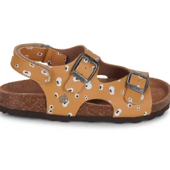 Citrouille et Compagnie - TOTIS