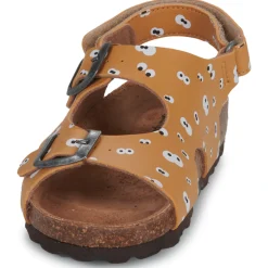 Citrouille et Compagnie - TOTIS