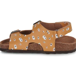 Citrouille et Compagnie - TOTIS