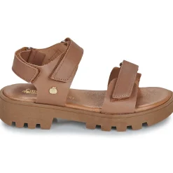 Hot Citrouille et Compagnie - PIANA Camel