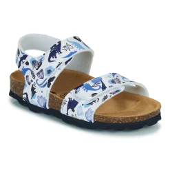 Citrouille et Compagnie - BELLI JOE Imprimébleudinosaures