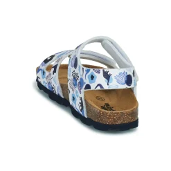 Citrouille et Compagnie - BELLI JOE Imprimébleudinosaures