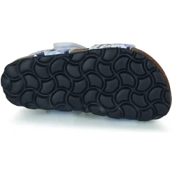 Citrouille et Compagnie - BELLI JOE Imprimébleudinosaures