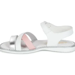 Sale Citrouille et Compagnie - IZOEGL