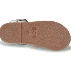 Hot Citrouille et Compagnie - INALA Argent