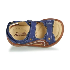 Citrouille et Compagnie - MASTIKO Bleu