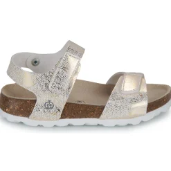 New Citrouille et Compagnie - PISTAMI Doré