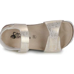 New Citrouille et Compagnie - PISTAMI Doré