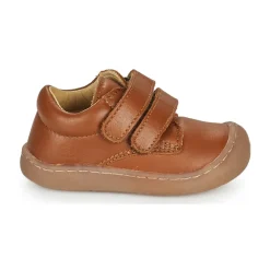 Citrouille et Compagnie - PIOTE Libano New