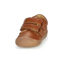 Citrouille et Compagnie - PIOTE Libano New