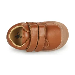 Citrouille et Compagnie - PIOTE Libano New