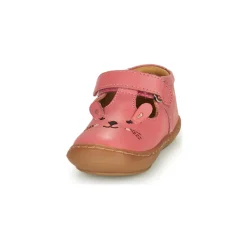 Citrouille et Compagnie - TIPELLE