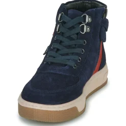 Citrouille et Compagnie - BAYBE