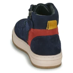 Citrouille et Compagnie - BAYBE