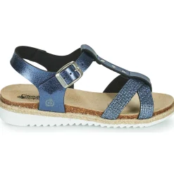 Citrouille et Compagnie - OMALA