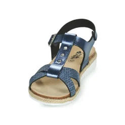 Citrouille et Compagnie - OMALA