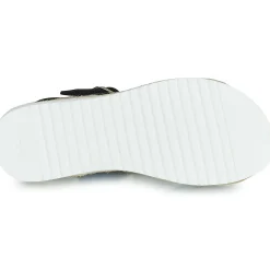 Citrouille et Compagnie - OMALA