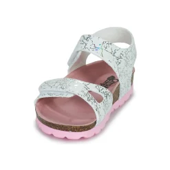 Citrouille et Compagnie - BELLI JOE