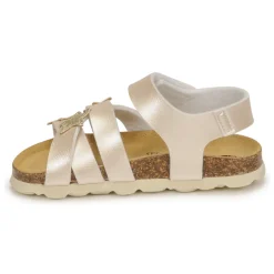 Citrouille et Compagnie - OKILIA