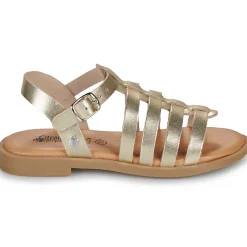 Citrouille et Compagnie - CANCUN Gold Hot