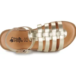 Citrouille et Compagnie - CANCUN Gold Hot