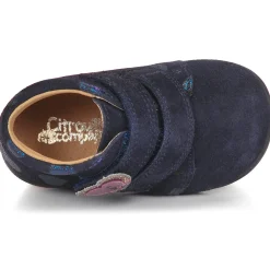 Citrouille et Compagnie - NONUP Marine Outlet